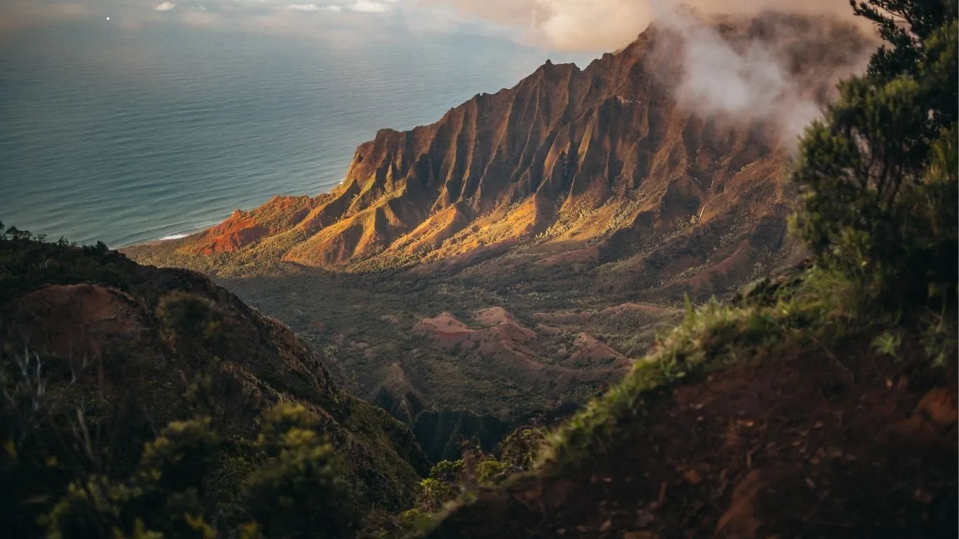 Hawaii statewide availability of medical cannabis card services by phone with no office visit required
